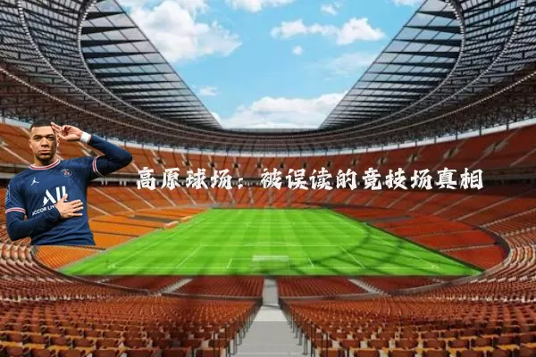 高原球场：被误读的竞技场真相